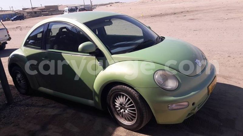 Big with watermark 17523240 446906552317802 3020784409794938775 n