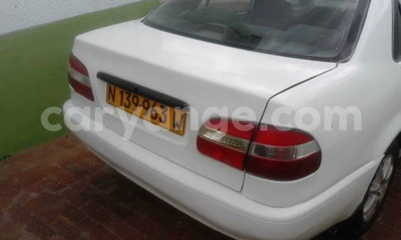 Big with watermark 17796439 1315154081906354 3590367499681648485 n