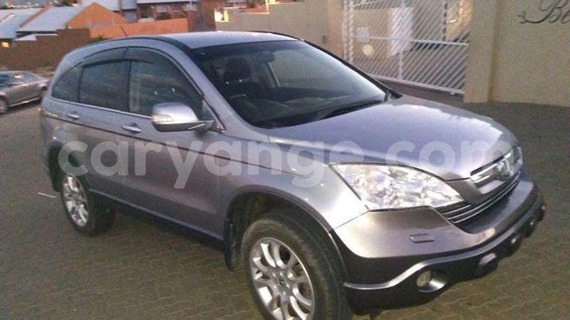 Big with watermark 17523240 446906552317802 3020784409794938775 n