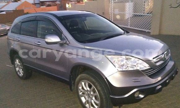Buy Used Honda CR–V Silver Car in Windhoek in Namibia Buy Used Honda CR–V Silver Car in Windhoek in Namibia