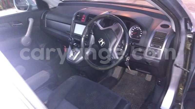 Big with watermark 17796439 1315154081906354 3590367499681648485 n