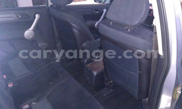 Buy Used Honda CR–V Silver Car in Windhoek in Namibia Buy Used Honda CR–V Silver Car in Windhoek in Namibia