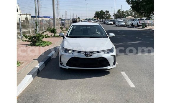 Buy Import Toyota Corolla White Car in Import - Dubai in Namibia Buy Import Toyota Corolla White Car in Import - Dubai in Namibia