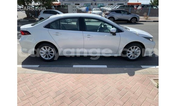 Buy Import Toyota Corolla White Car in Import - Dubai in Namibia Buy Import Toyota Corolla White Car in Import - Dubai in Namibia