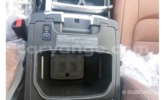 Acheter Import Voiture Toyota Land Cruiser Noir à Import - Dubai, Namibie Acheter Import Voiture Toyota Land Cruiser Noir à Import - Dubai, Namibie