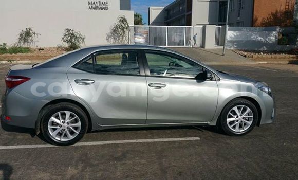 Buy Used Toyota Corolla Silver Car in Windhoek in Namibia Buy Used Toyota Corolla Silver Car in Windhoek in Namibia