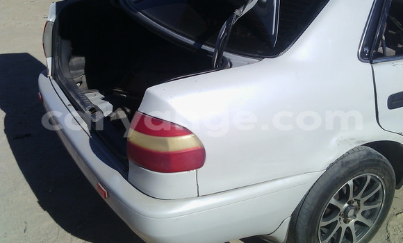 Buy Used Toyota Corolla White Car in Swakopmund in Namibia Buy Used Toyota Corolla White Car in Swakopmund in Namibia