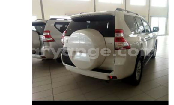 Buy New Toyota Prado Silver Car in Swakopmund in Namibia Buy New Toyota Prado Silver Car in Swakopmund in Namibia