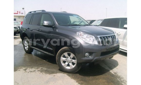 Buy Import Toyota Prado Other Car in Import - Dubai in Namibia Buy Import Toyota Prado Other Car in Import - Dubai in Namibia