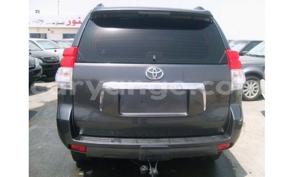 Buy Import Toyota Prado Other Car in Import - Dubai in Namibia Buy Import Toyota Prado Other Car in Import - Dubai in Namibia
