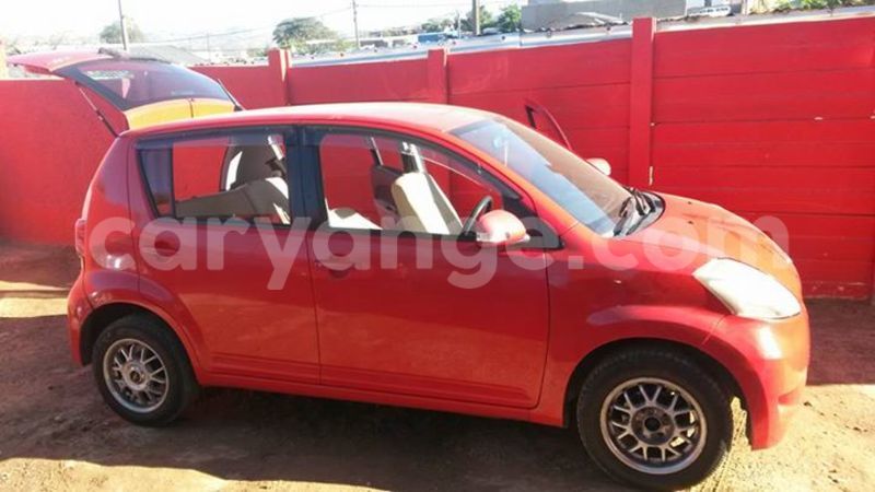 Big with watermark 18301895 1808353289482442 4911772228667514889 n