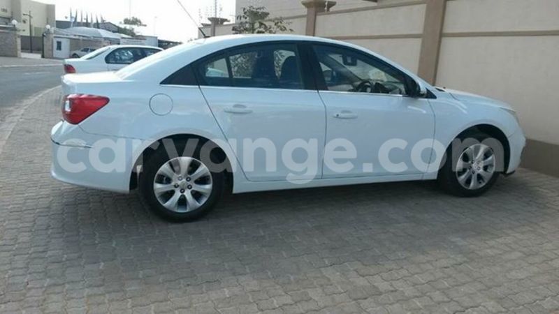 Big with watermark 18301895 1808353289482442 4911772228667514889 n