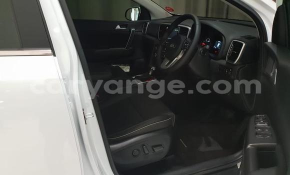 Buy Used Kia Sportage White Car in Henties Bay in Erongo Buy Used Kia Sportage White Car in Henties Bay in Erongo