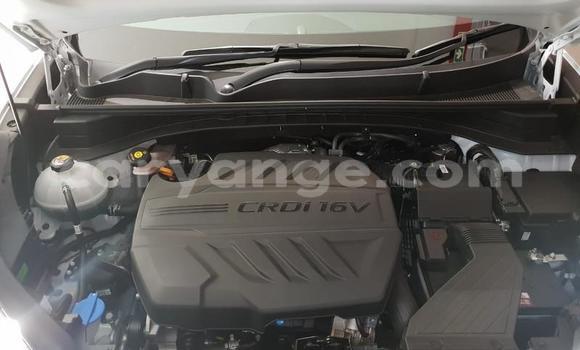 Buy Used Kia Sportage White Car in Henties Bay in Erongo Buy Used Kia Sportage White Car in Henties Bay in Erongo