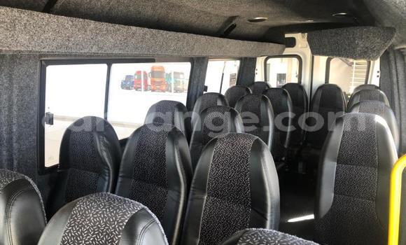 Buy Used Iveco Daily White Truck in Henties Bay in Erongo Buy Used Iveco Daily White Truck in Henties Bay in Erongo