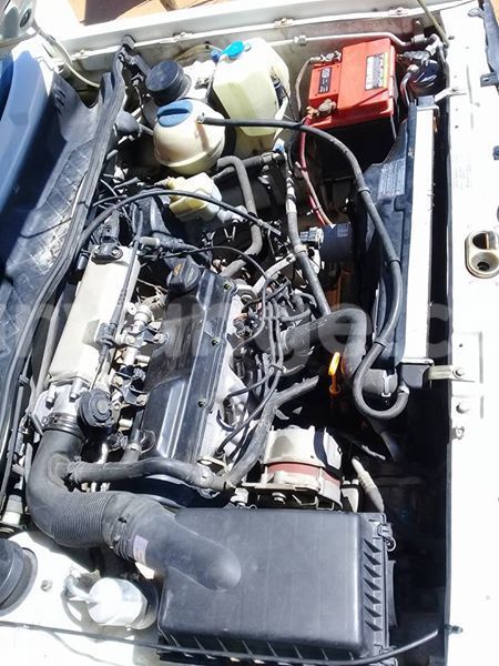 Big with watermark 18301895 1808353289482442 4911772228667514889 n