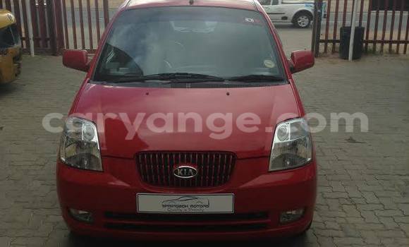 Buy Used Kia Picanto Red Car in Windhoek in Namibia