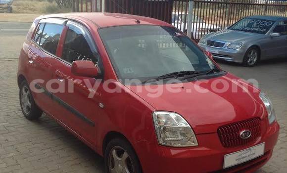 Acheter Occasion Voiture Kia Picanto Rouge à Windhoek, Namibie Acheter Occasion Voiture Kia Picanto Rouge à Windhoek, Namibie