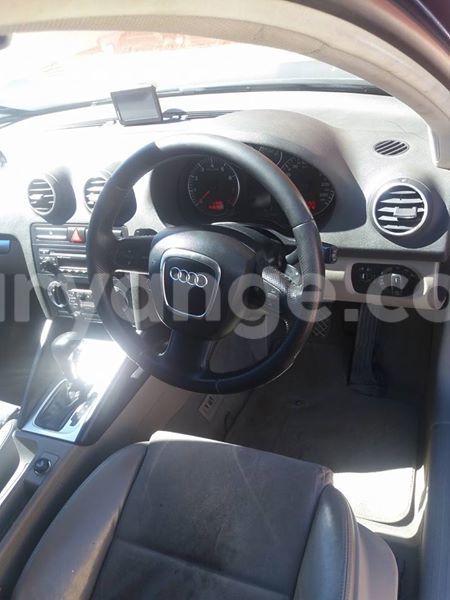 Big with watermark 17796789 902716609870218 4521974656185205947 n