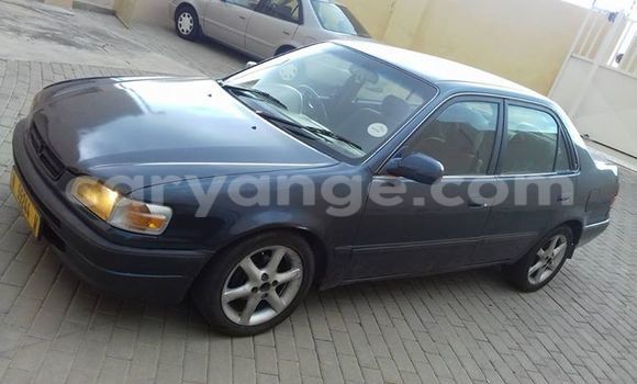 Buy Used Toyota Corolla Black Car in Windhoek in Namibia Buy Used Toyota Corolla Black Car in Windhoek in Namibia