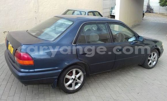 Buy Used Toyota Corolla Black Car in Windhoek in Namibia Buy Used Toyota Corolla Black Car in Windhoek in Namibia
