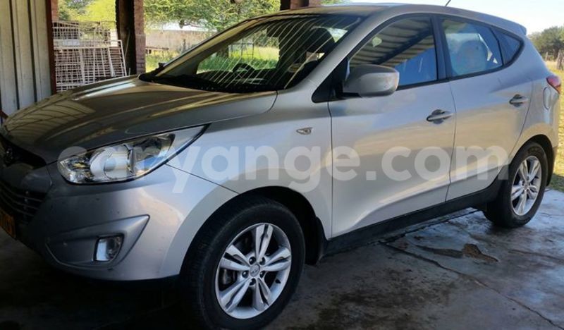 Big with watermark 17796439 1315154081906354 3590367499681648485 n