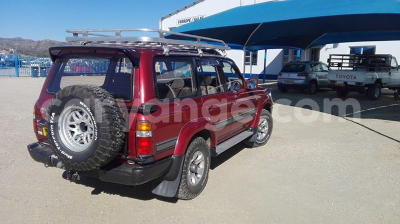 Big with watermark 17795701 10206966928850318 4670280897170890025 n