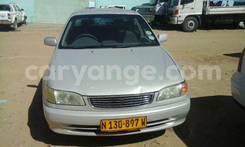 Big with watermark 17795701 10206966928850318 4670280897170890025 n