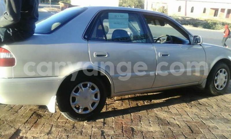 Big with watermark 17796439 1315154081906354 3590367499681648485 n