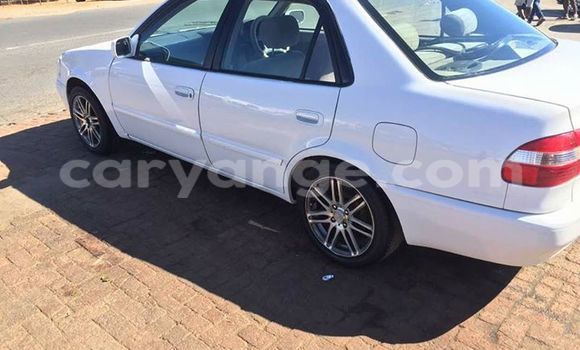 Buy Used Toyota Corolla White Car in Windhoek in Namibia Buy Used Toyota Corolla White Car in Windhoek in Namibia