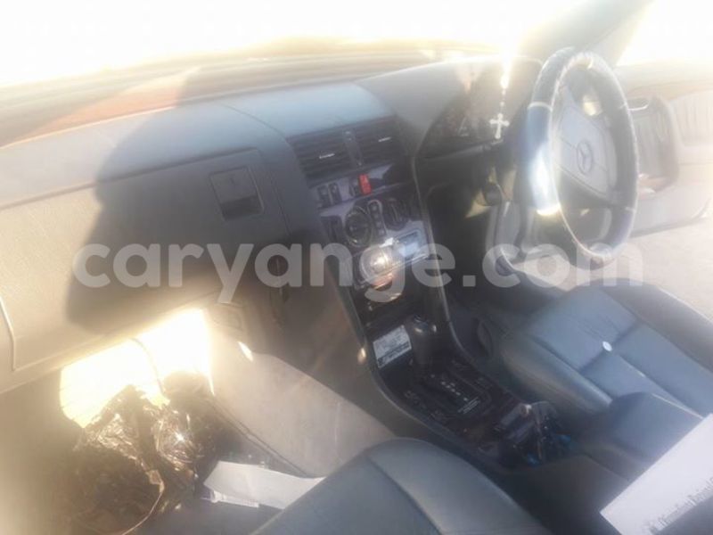 Big with watermark 18622544 766793980153761 6196714476264891044 n