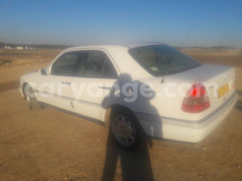 Big with watermark 18581748 1684366681592612 4998129868441789139 n