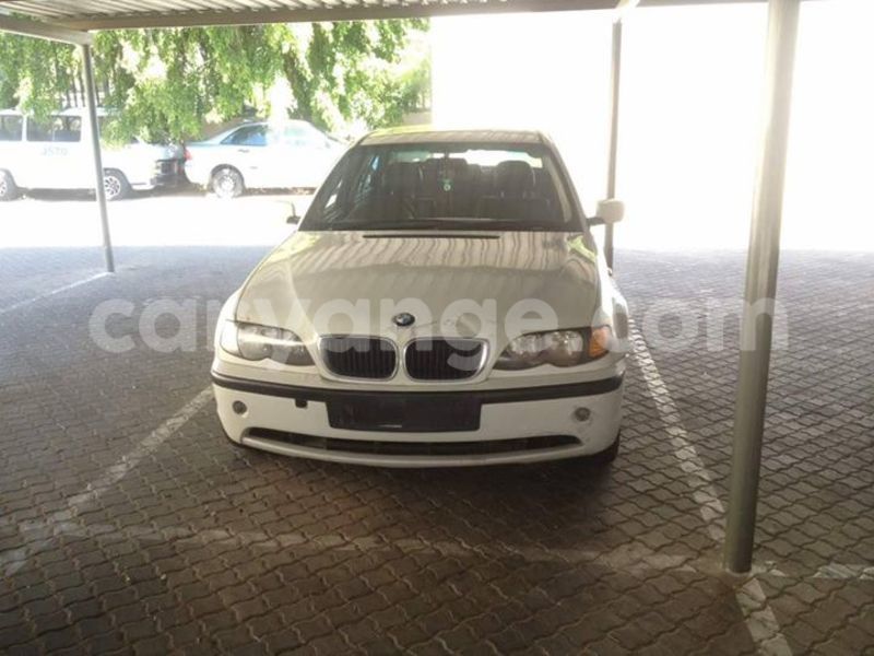 Big with watermark 18671096 766793986820427 4202442580850278022 n