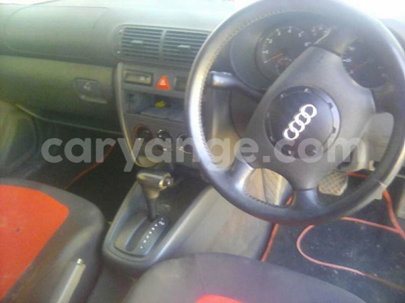 Big with watermark 18622664 766793983487094 6123498644142061184 n