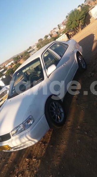 Big with watermark 18622544 766793980153761 6196714476264891044 n