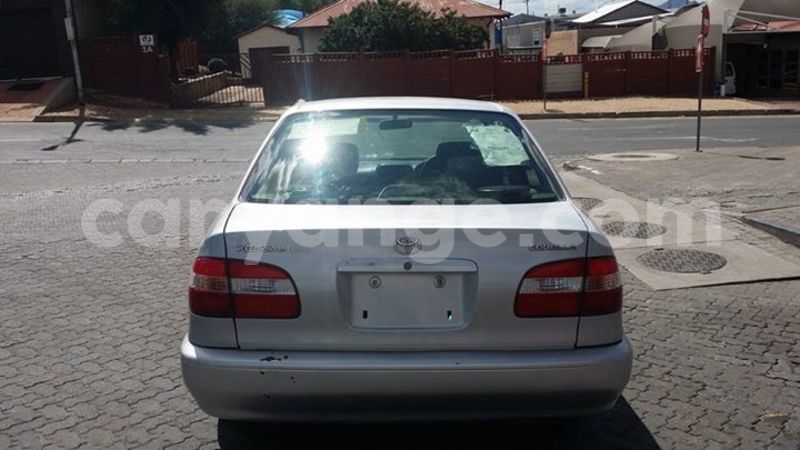 Big with watermark 18581748 1684366681592612 4998129868441789139 n