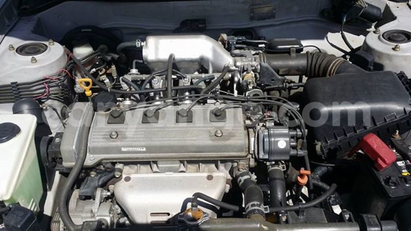 Big with watermark 18622664 766793983487094 6123498644142061184 n