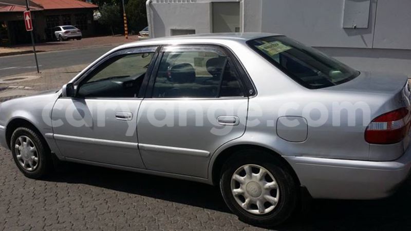 Big with watermark 18671096 766793986820427 4202442580850278022 n