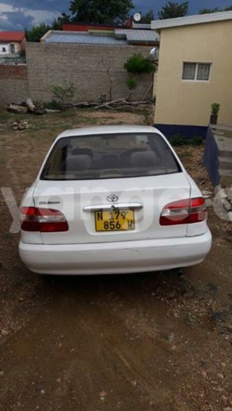 Big with watermark 17795701 10206966928850318 4670280897170890025 n