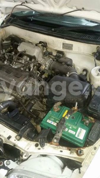 Big with watermark 17796439 1315154081906354 3590367499681648485 n