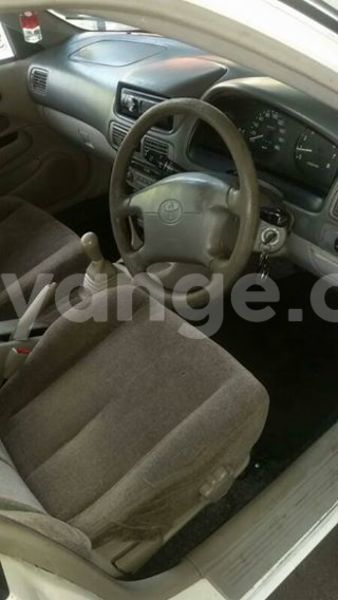 Big with watermark 17796789 902716609870218 4521974656185205947 n