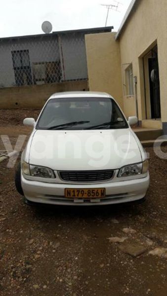 Big with watermark 18582020 269795250150444 2059614101206385536 n