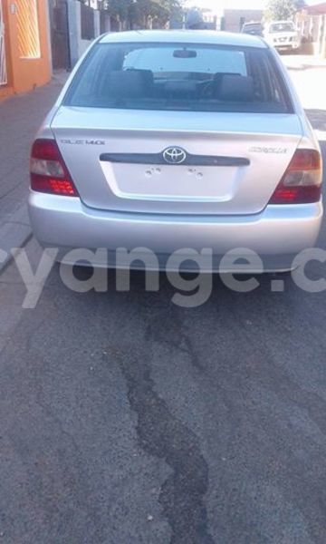 Big with watermark 17795701 10206966928850318 4670280897170890025 n