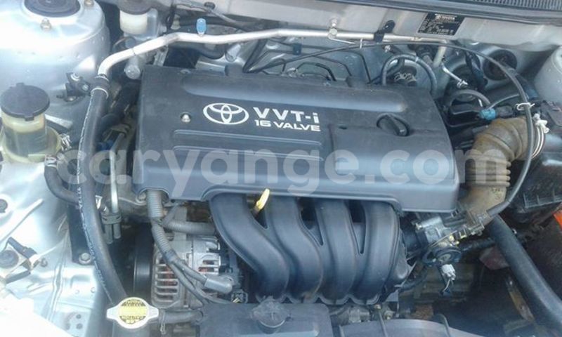 Big with watermark 17796789 902716609870218 4521974656185205947 n