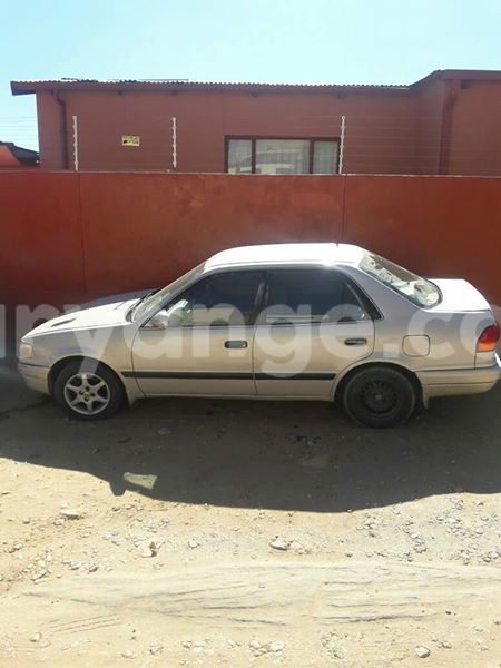 Big with watermark 17795701 10206966928850318 4670280897170890025 n