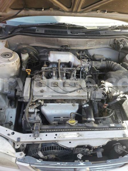 Big with watermark 17796439 1315154081906354 3590367499681648485 n