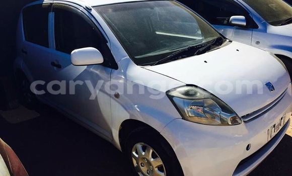 Buy Used Toyota Paseo Silver Car in Windhoek in Namibia Buy Used Toyota Paseo Silver Car in Windhoek in Namibia