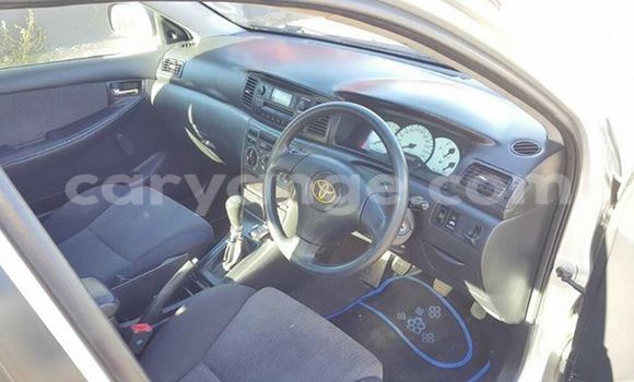 Buy Used Toyota Corolla Silver Car in Windhoek in Namibia Buy Used Toyota Corolla Silver Car in Windhoek in Namibia