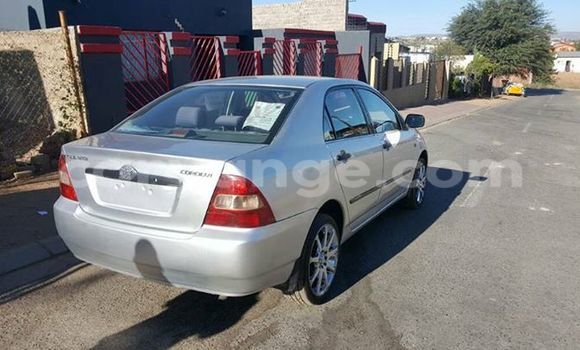 Buy Used Toyota Corolla Silver Car in Windhoek in Namibia Buy Used Toyota Corolla Silver Car in Windhoek in Namibia