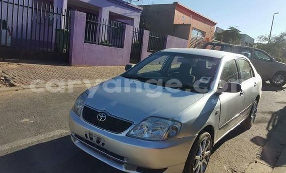 Buy Used Toyota Corolla Silver Car in Windhoek in Namibia Buy Used Toyota Corolla Silver Car in Windhoek in Namibia